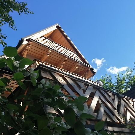 Willa Mitia Zakopane Extérieur photo