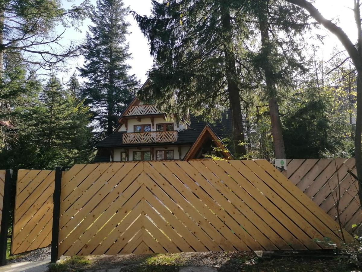 Willa Mitia Zakopane Extérieur photo