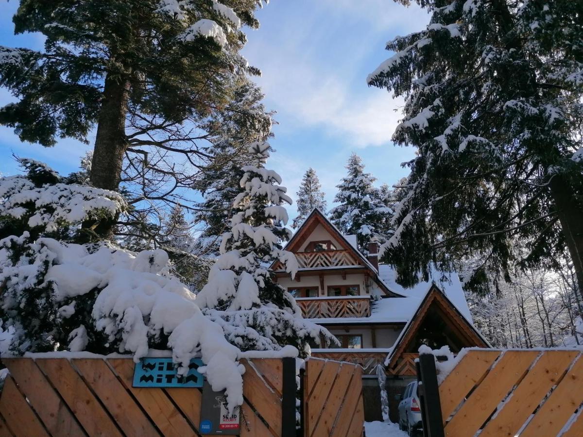 Willa Mitia Zakopane Extérieur photo