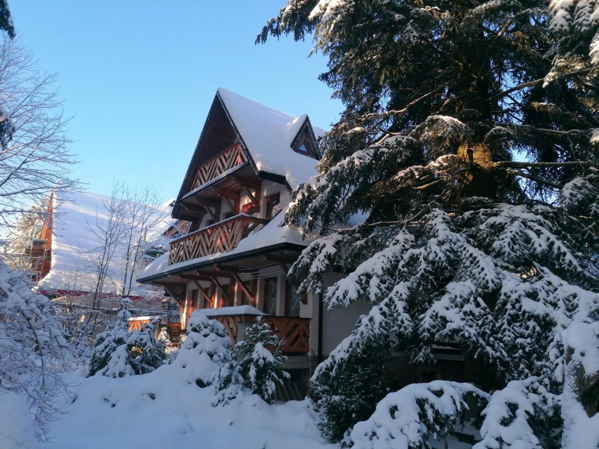 Willa Mitia Zakopane Extérieur photo