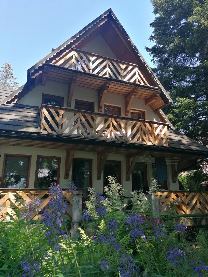Willa Mitia Zakopane Extérieur photo